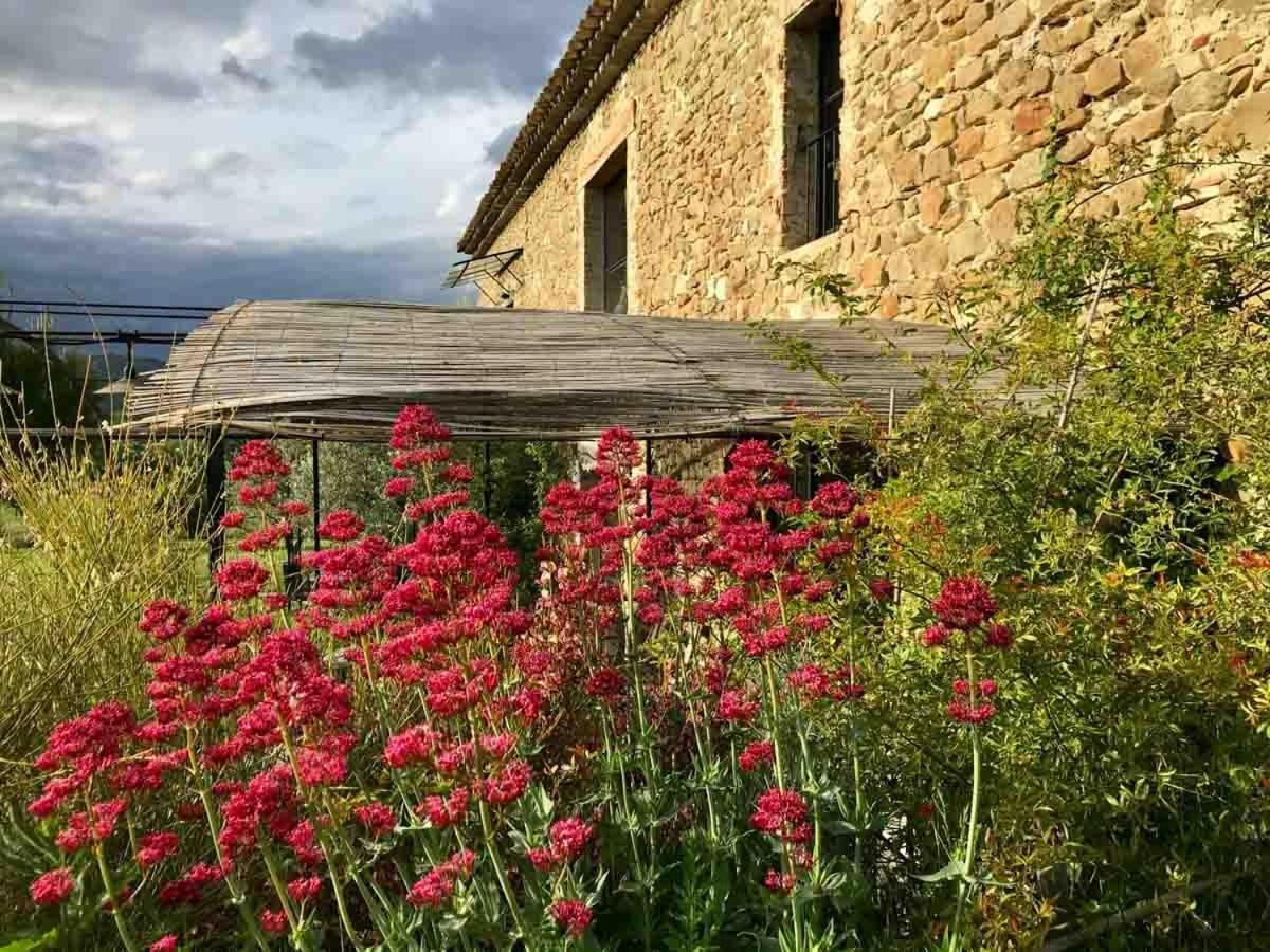 Villa La Demoiselle Puy-Saint-Martin Esterno foto